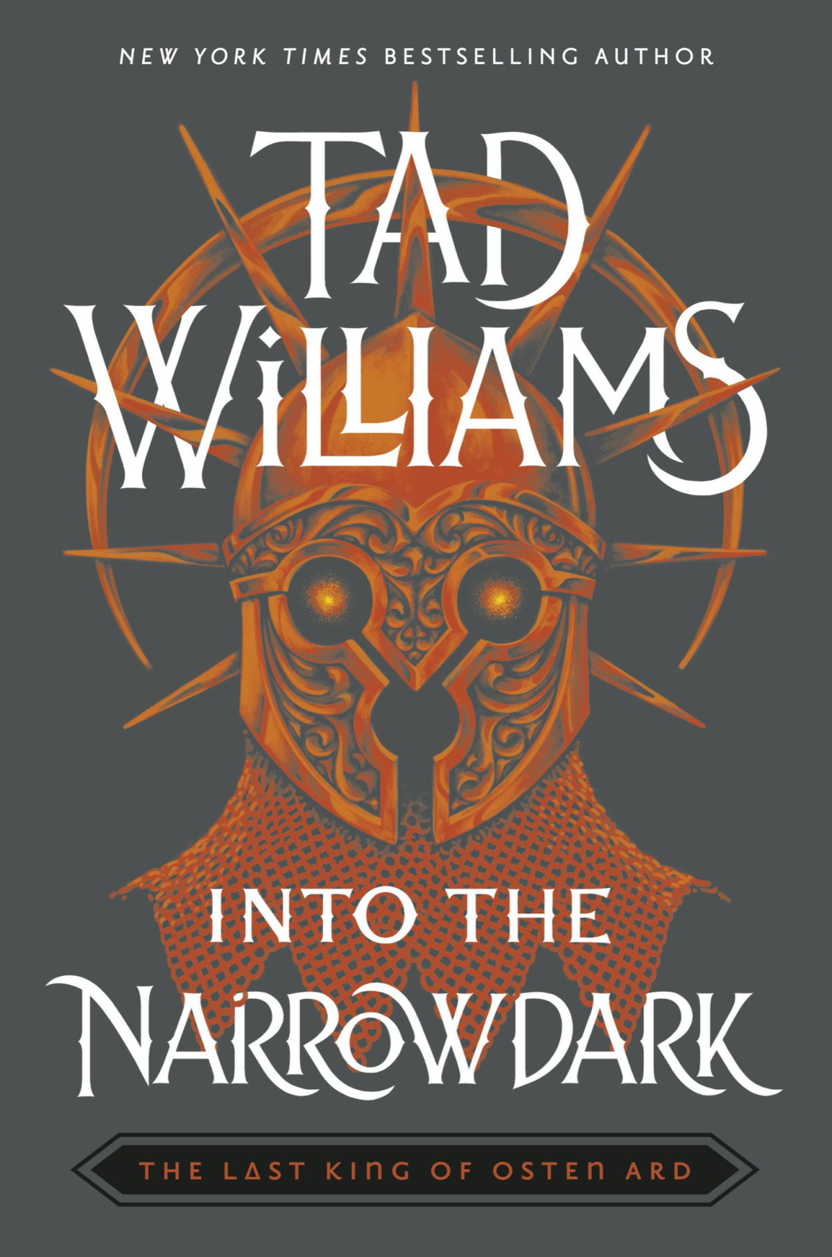 Into The Narrowdark Tad Williams