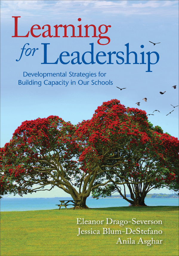 Learning And Leading For Growth Blum Jessica Dragoseverson