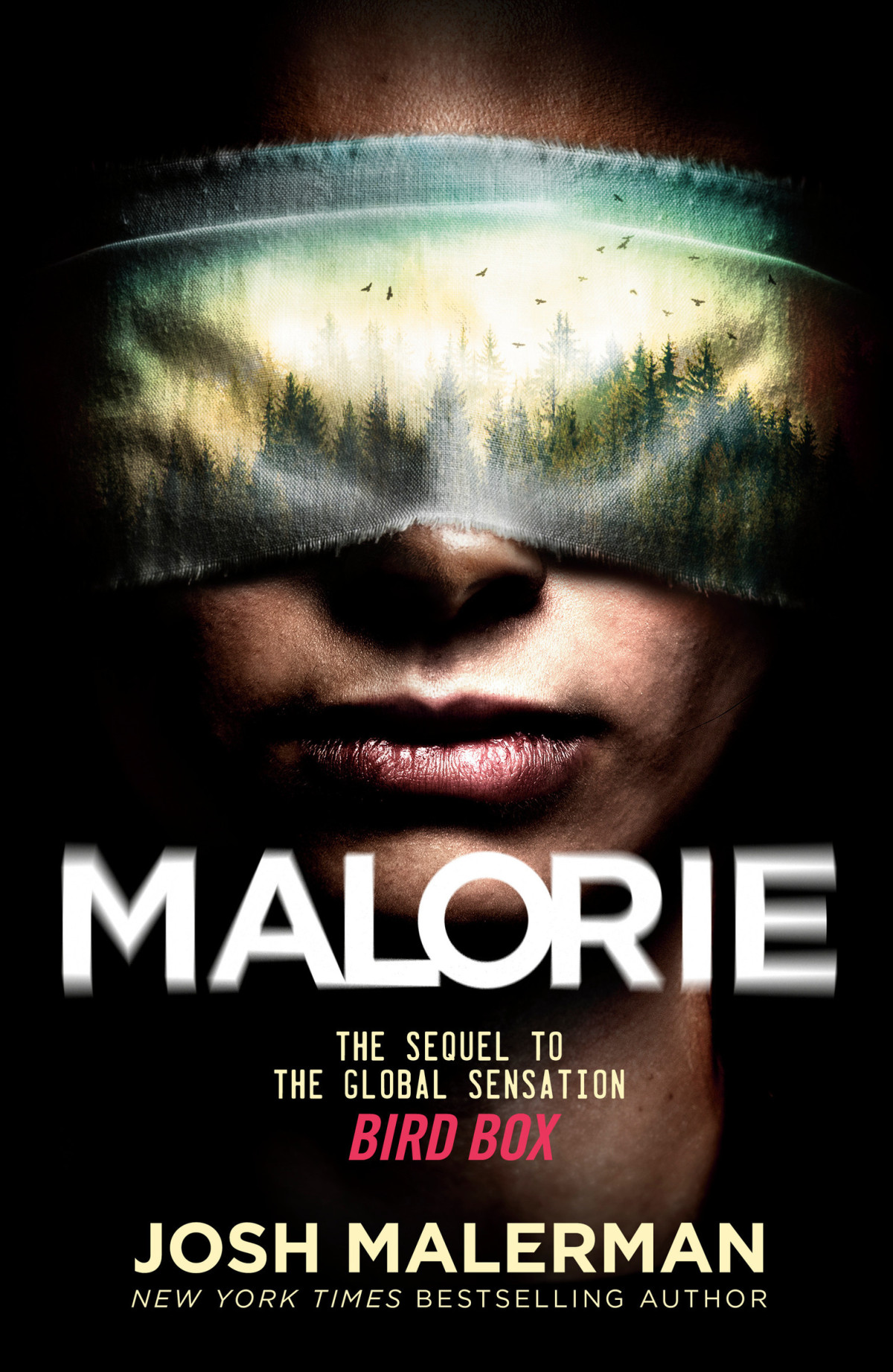 Malorie A Bird Box Novel Josh Malerman