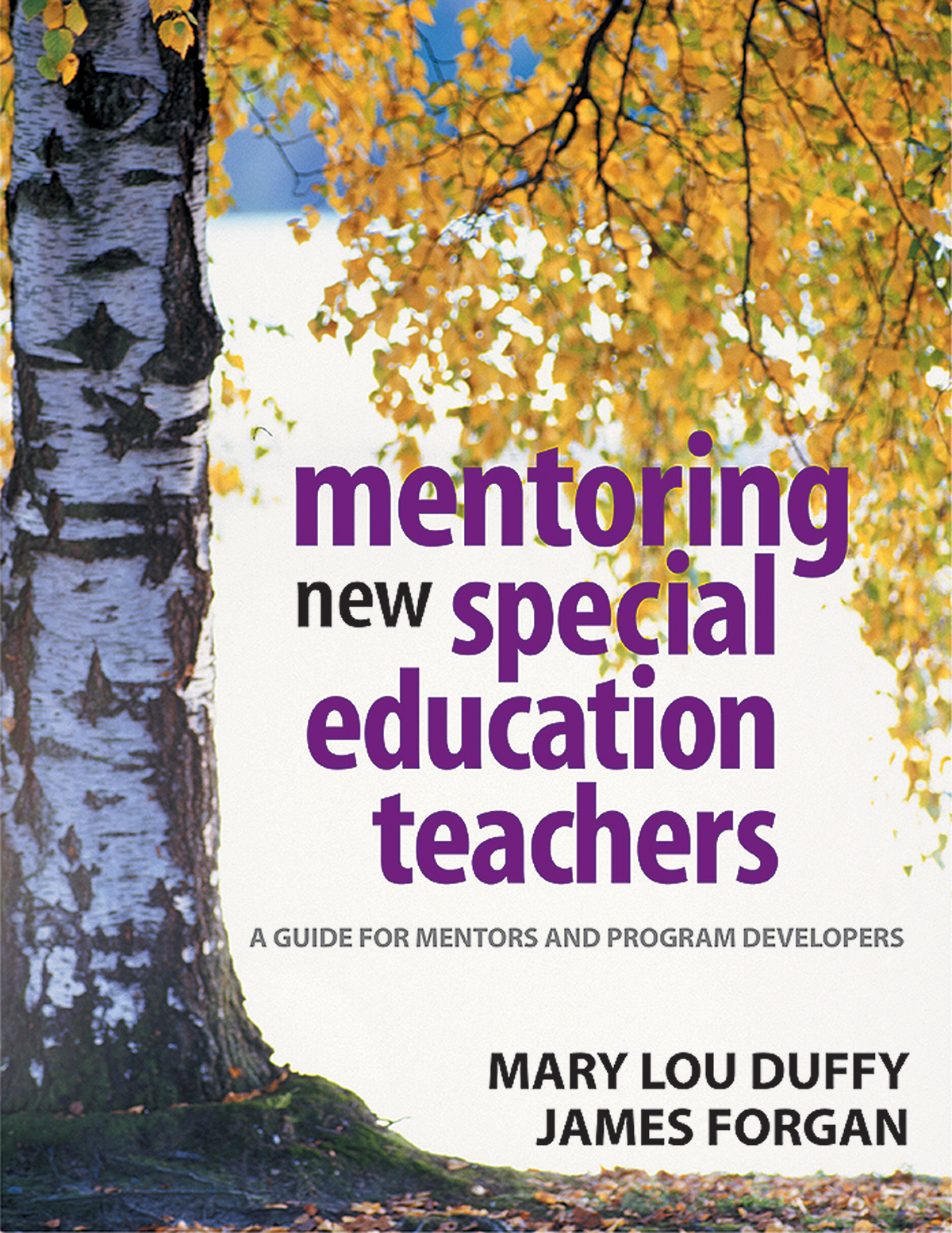 Mentoring New Special Education Teachers Duffy Mary Louforgan