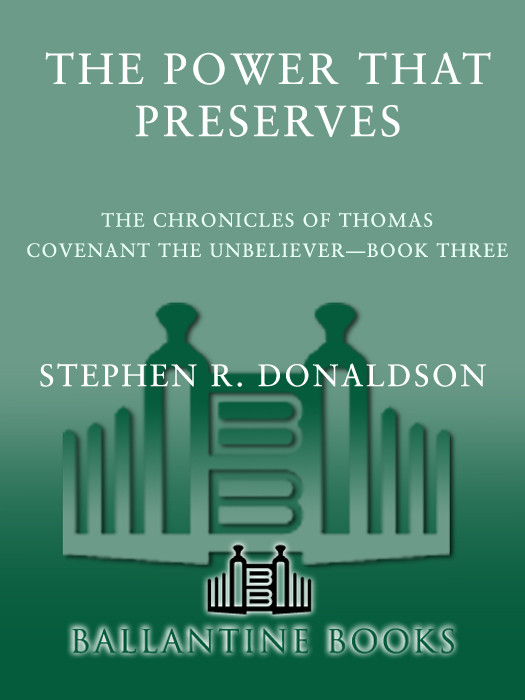 The Power That Preserves Donaldson Stephen R