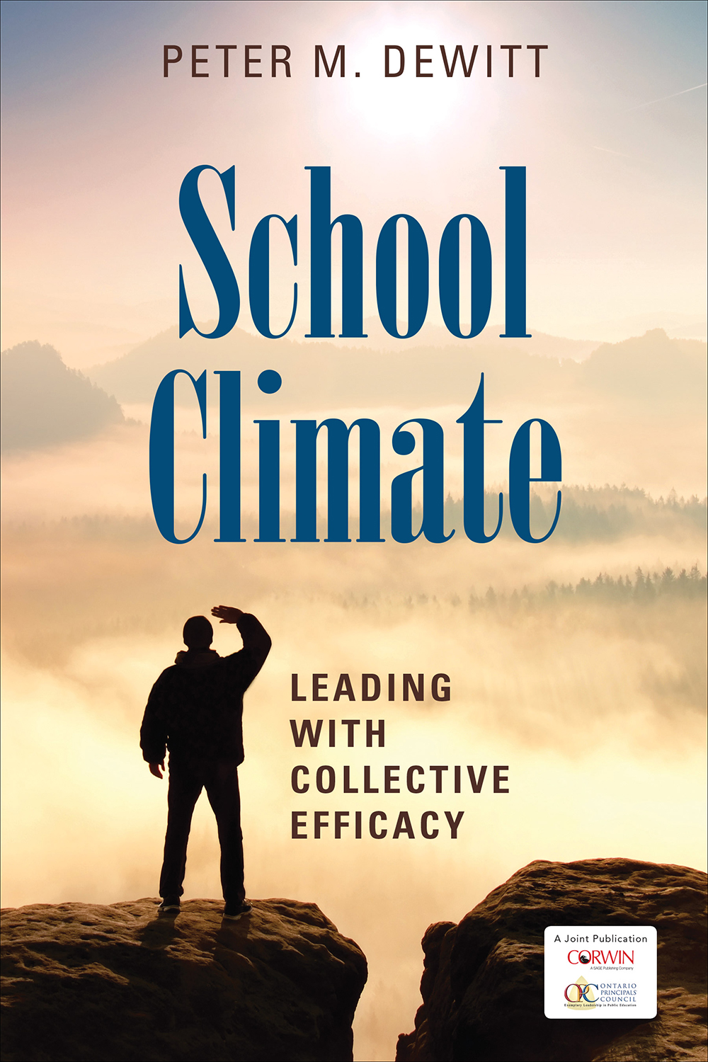 School Climate Peter M Dewitt