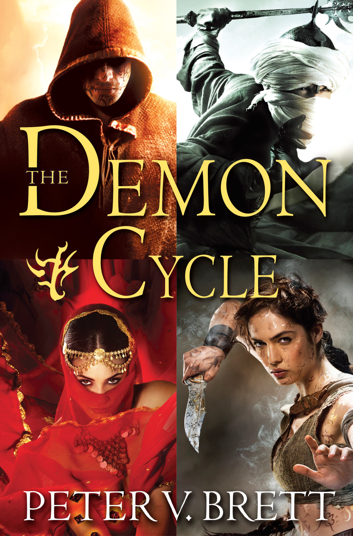 The Demon Cycle 5book Bundle The Warded Man The Desert Spear The Daylight War The Skull Throne The Core Peter V Brett