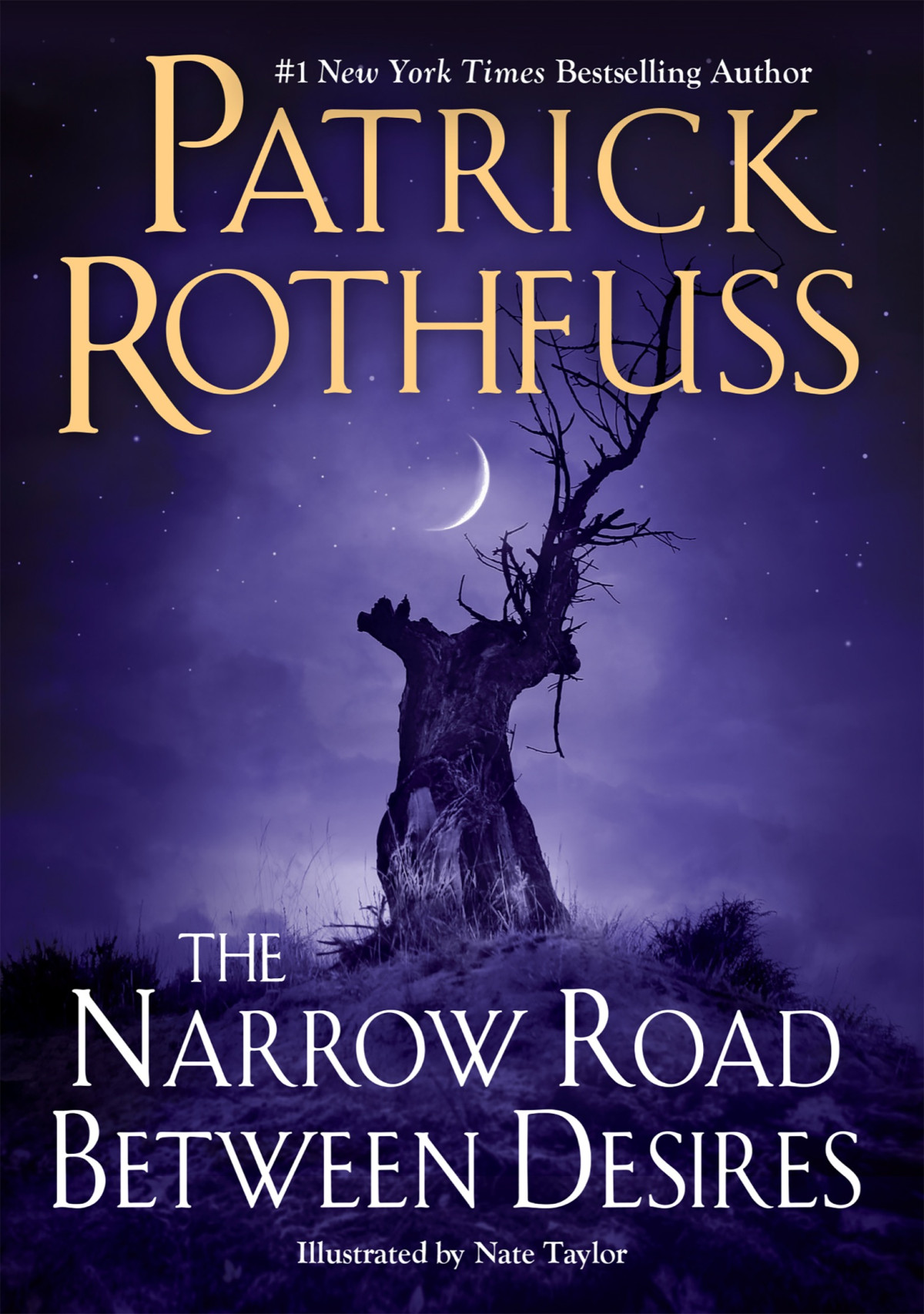 The Narrow Road Between Desires Patrick Rothfuss
