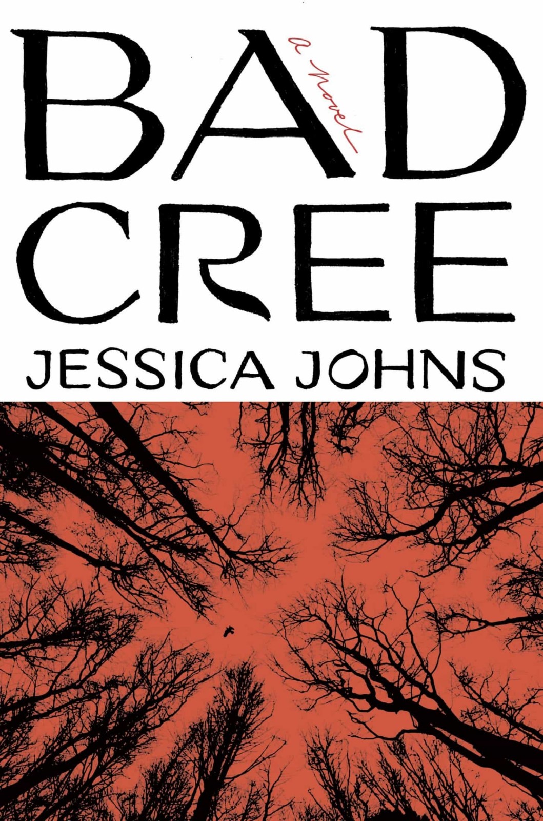 Bad Cree A Novel Jessica Johns