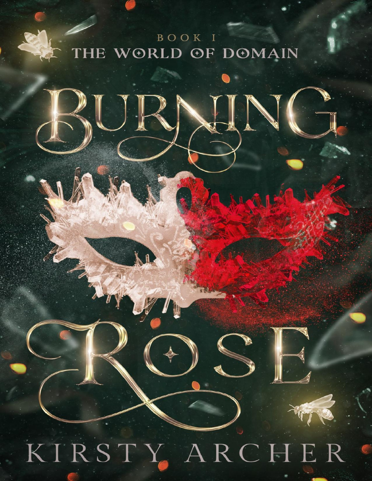 Burning Rose An Addictive Enemies To Lovers Romantasy With Sizzling Tension And Spice The World Of Domain Book 1 Kirsty Archer