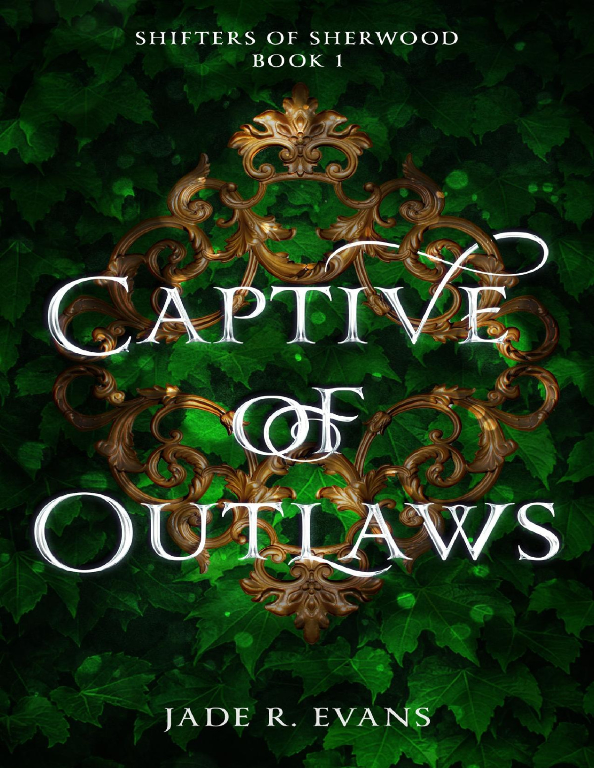 Captive Of Outlaws Shifters Of Sherwood Book 1 Jade R Evans