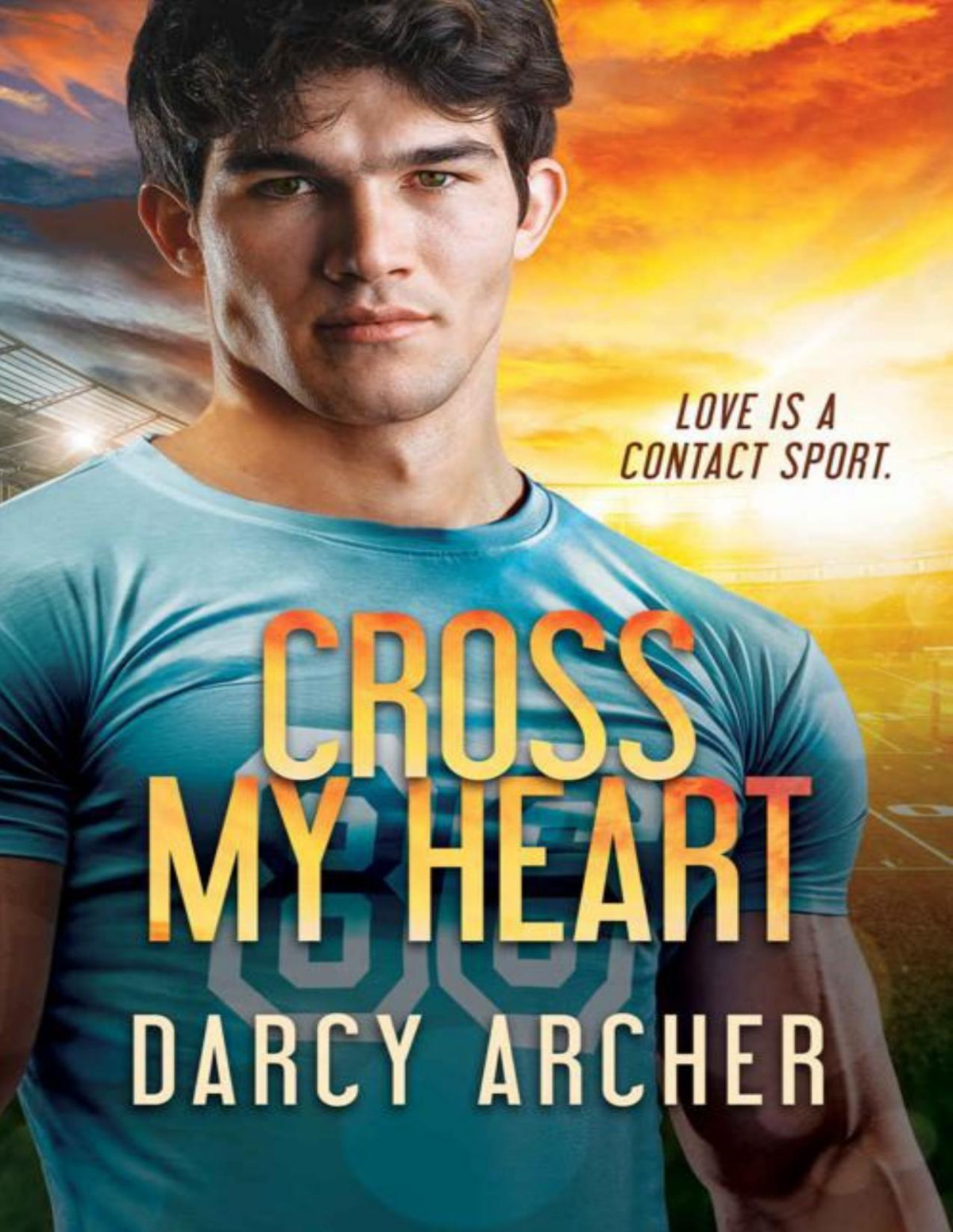 Cross My Heart Darcy Archer