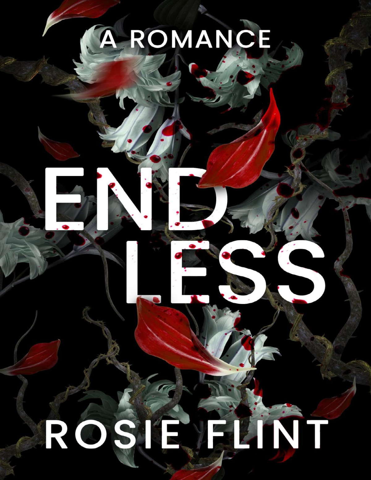 Endless A Why Choose Romance Rosie Flint