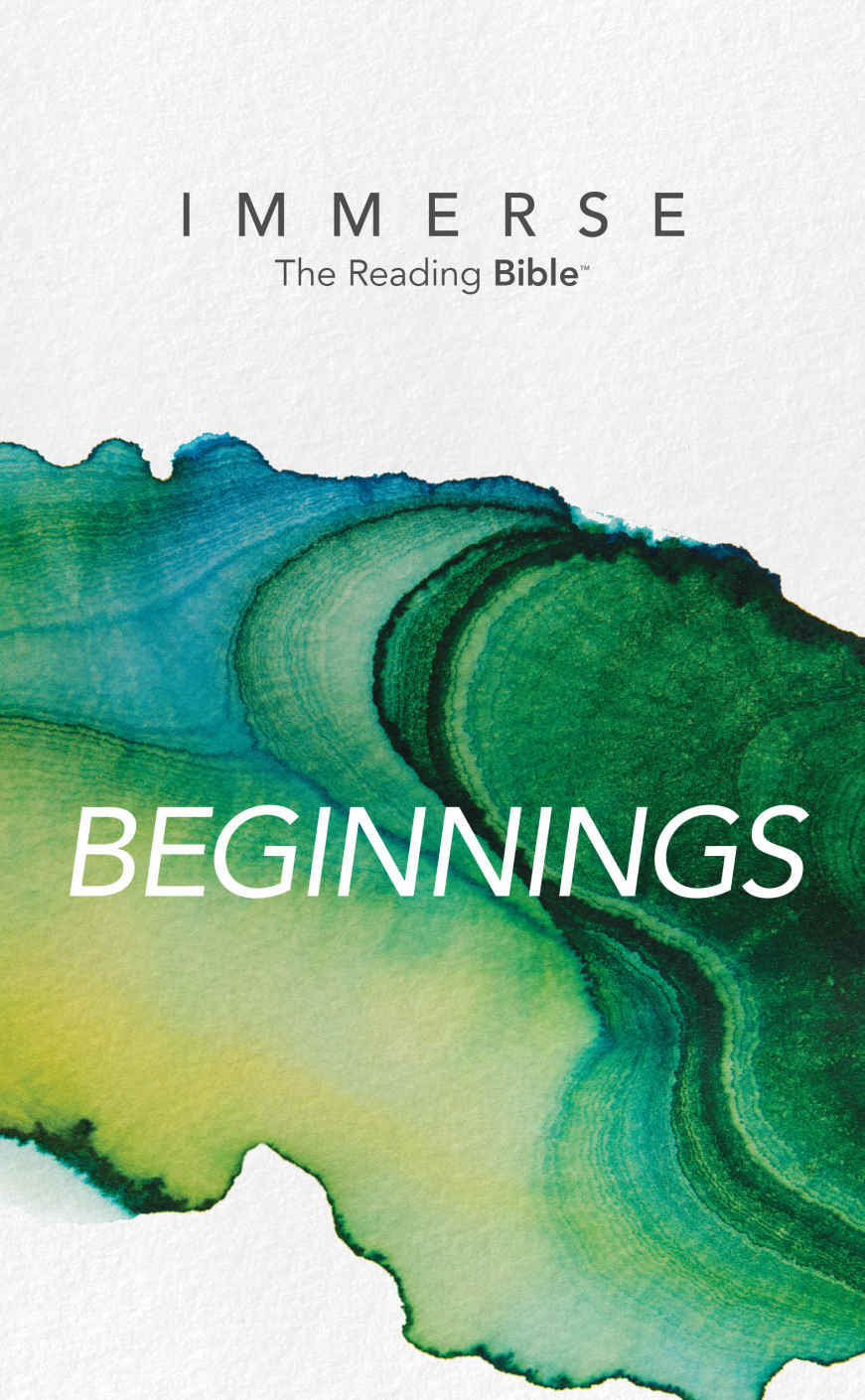 Immerse Beginnings Immerse The Reading Bible Unknown