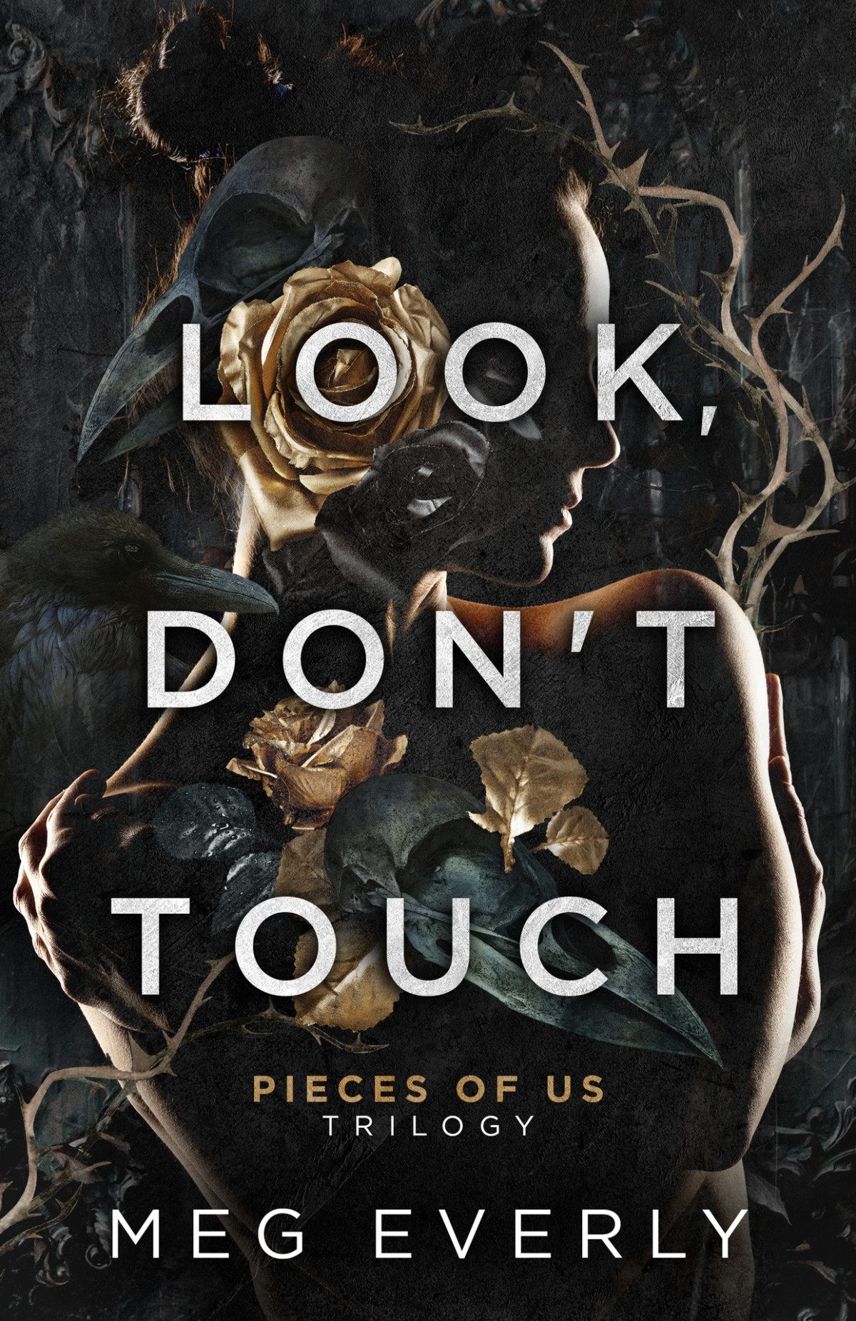 Look Dont Touch A Dark Billionaire Romance Meg Everly