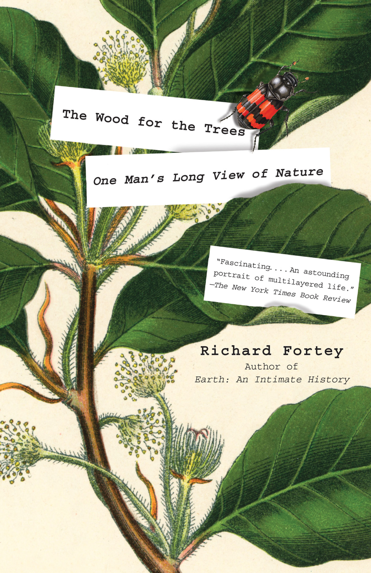 The Wood For The Trees Richard Fortey