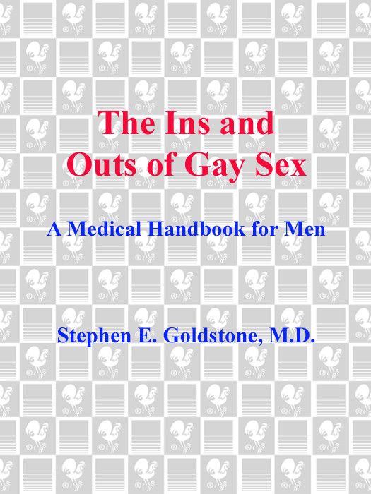 The Ins And Outs Of Gay Sex Stephen E Goldstone