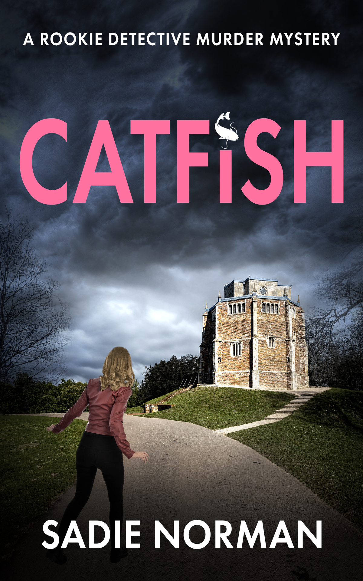 Catfish A Rookie Detective Murder Mystery The Norfolk Detective Mysteries Book 1 Sadie Norman