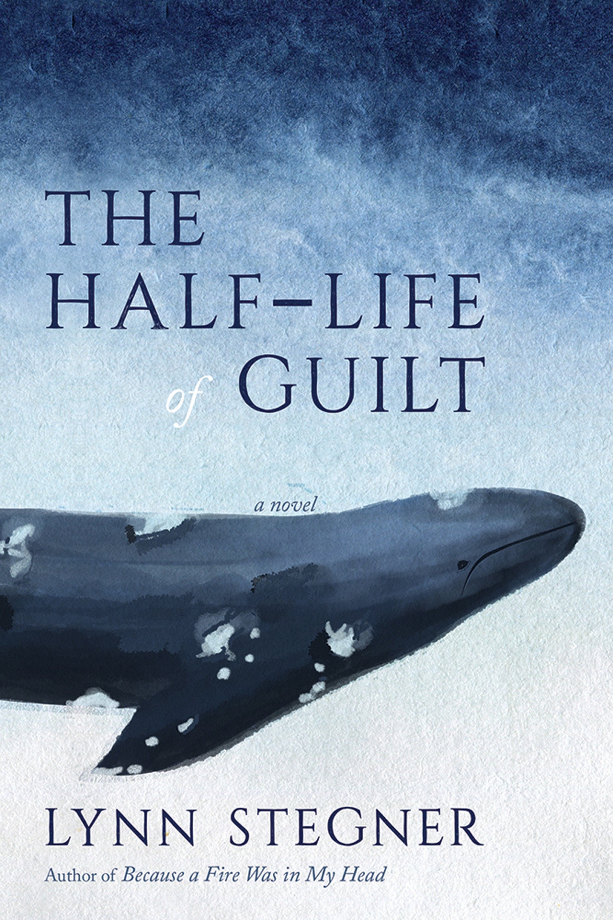 The Halflife Of Guilt Lynn Stegner