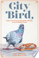 City Bird Explore The Charming Metropolitan Melodies Of Our Feathered Friends Angela Harrison Vinet