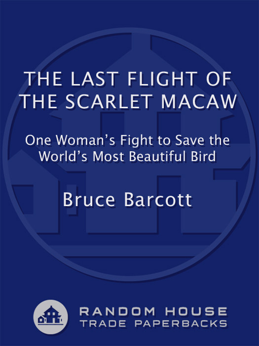 The Last Flight Of The Scarlet Macaw Bruce Barcott