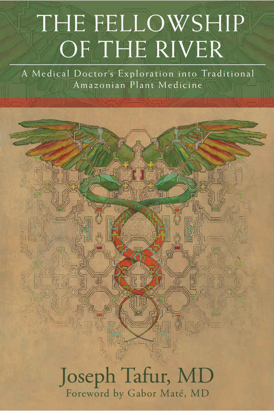 The Fellowship Of The River A Medical Doctors Exploration Into Traditional Amazonian Plant Medicine Joseph Tafur