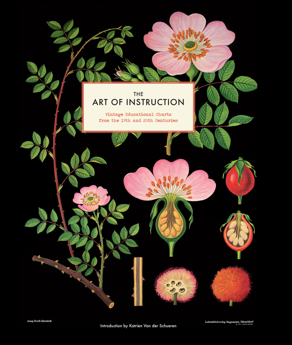 The Art Of Instruction Katrien Van Der Schueren