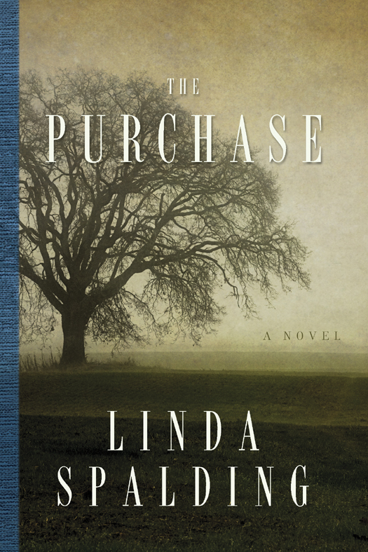 The Purchase Linda Spalding