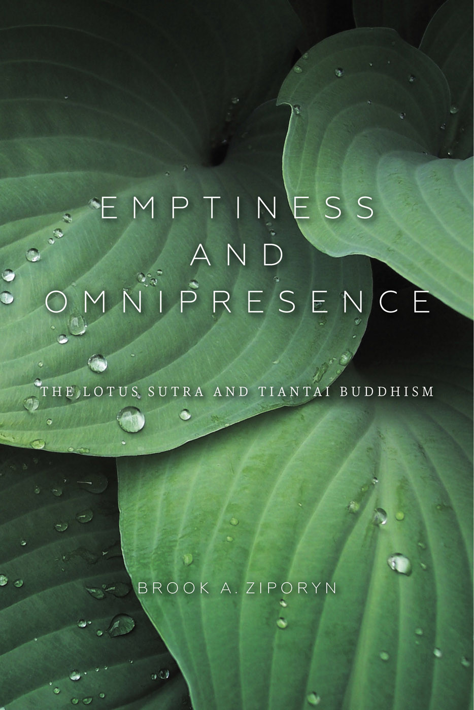 Emptiness And Omnipresence Ziporyn Brook A