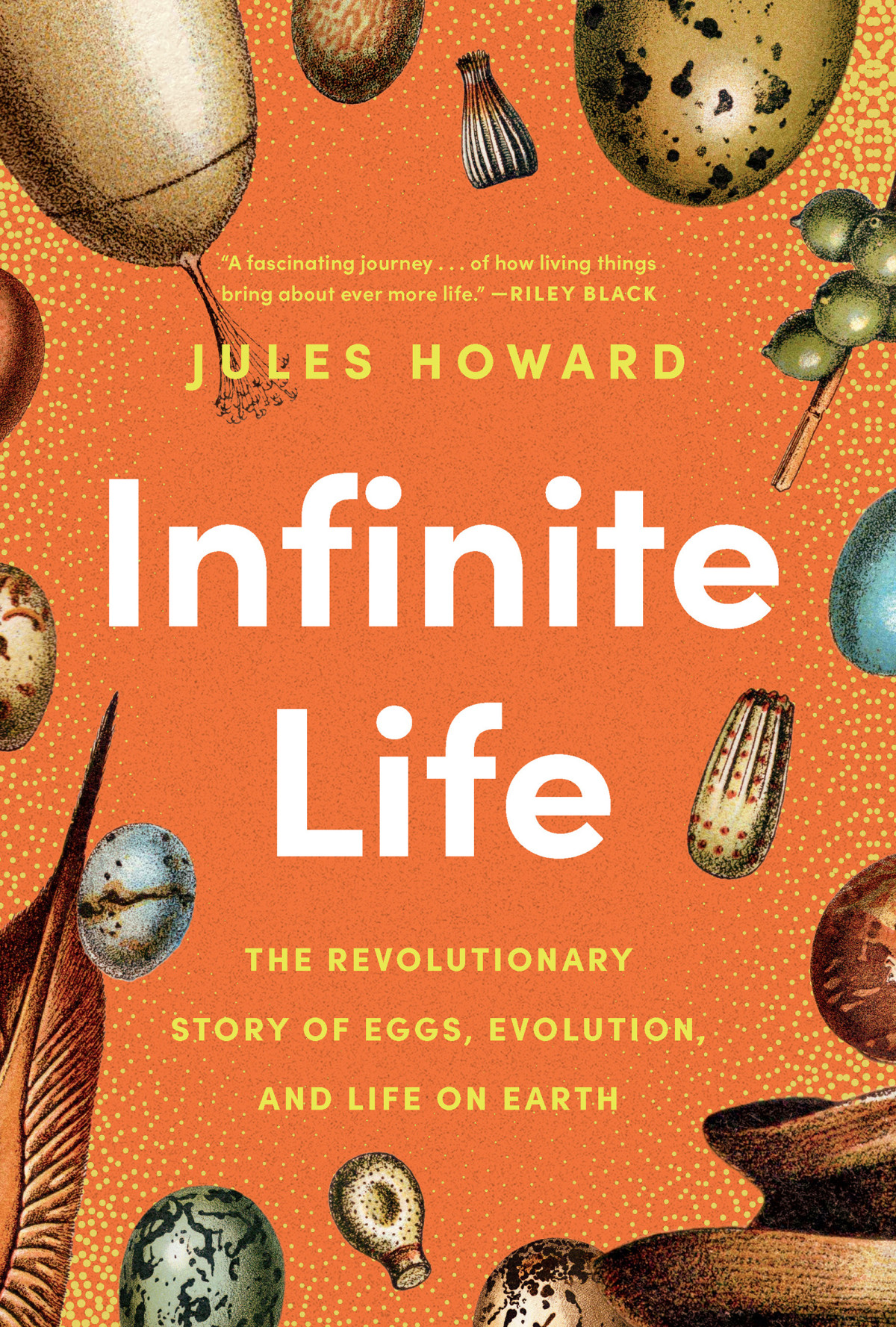 Infinite Life The Revolutionary Story Of Eggs Evolution And Life On Earth Jules Howard