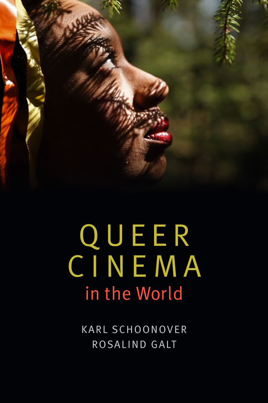 Queer Cinema In The World Karl Schoonover Rosalind Galt