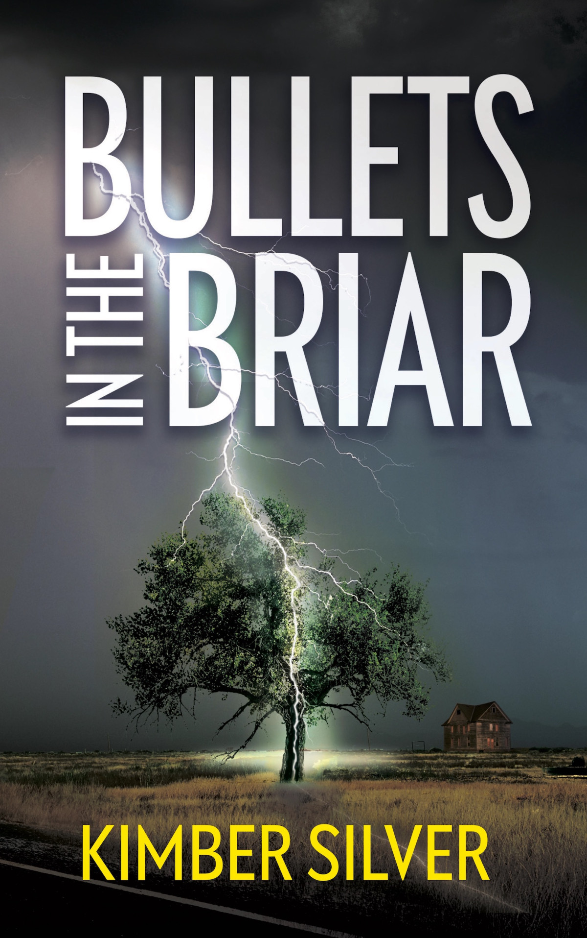 Bullets In The Briar Kimber Silver