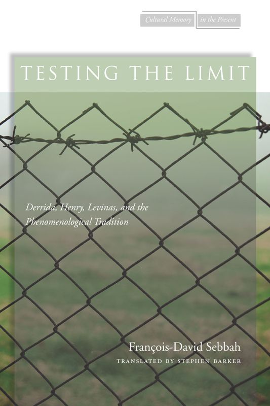 Testing The Limit Derrida Henry Levinas And The Phenomenological Tradition Cultural Memory In The Present Barker