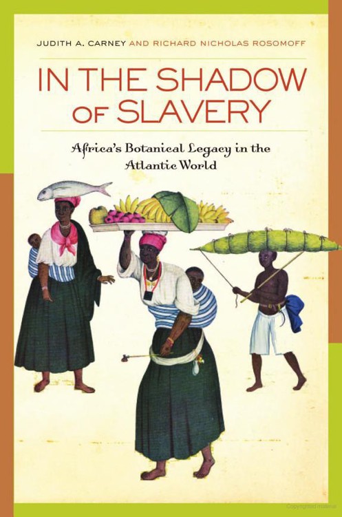 In The Shadow Of Slavery Africas Botanical Legacy In The Atlantic World Judith Ann Carney Richard Nicholas Rosomoff