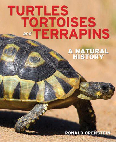 Turtles Tortoises And Terrapins Ronald Orenstein