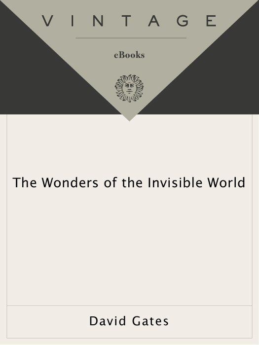 The Wonders Of The Invisible World David Gates