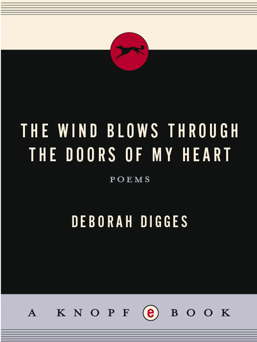 The Wind Blows Through The Doors Of My Heart Deborah Digges