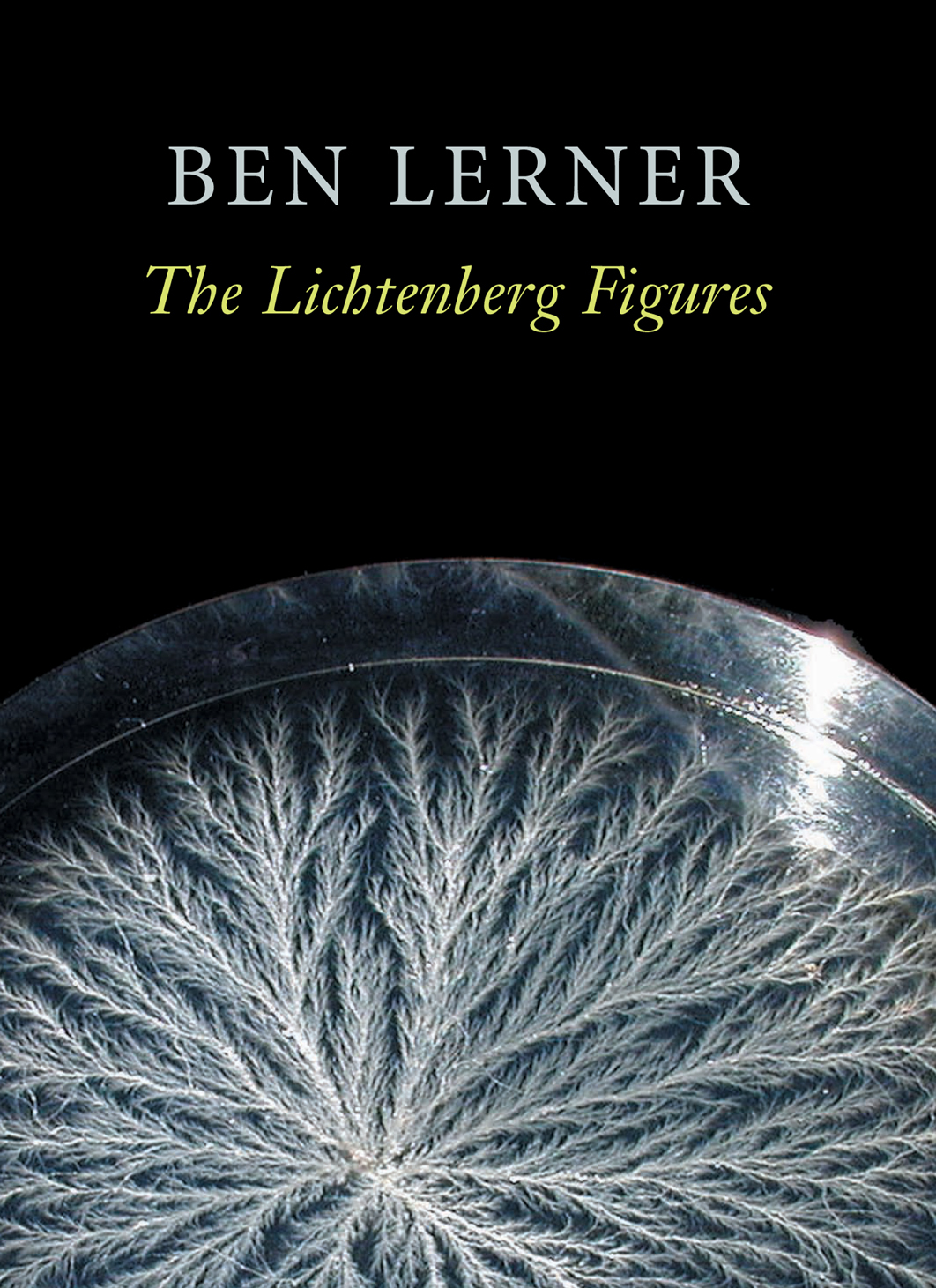 The Lichtenberg Figures Ben Lerner