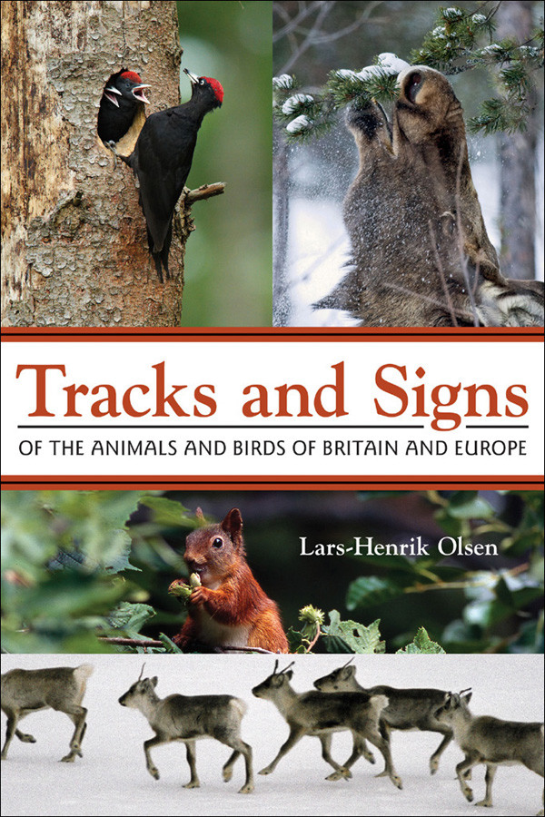 Tracks And Signs Of The Animals And Birds Of Britain And Europe Olsen