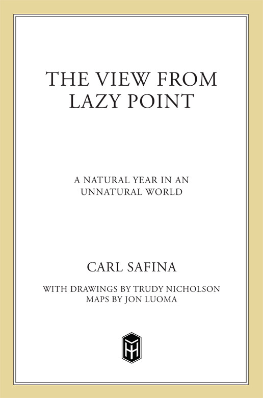 The View From Lazy Point Carl Safina