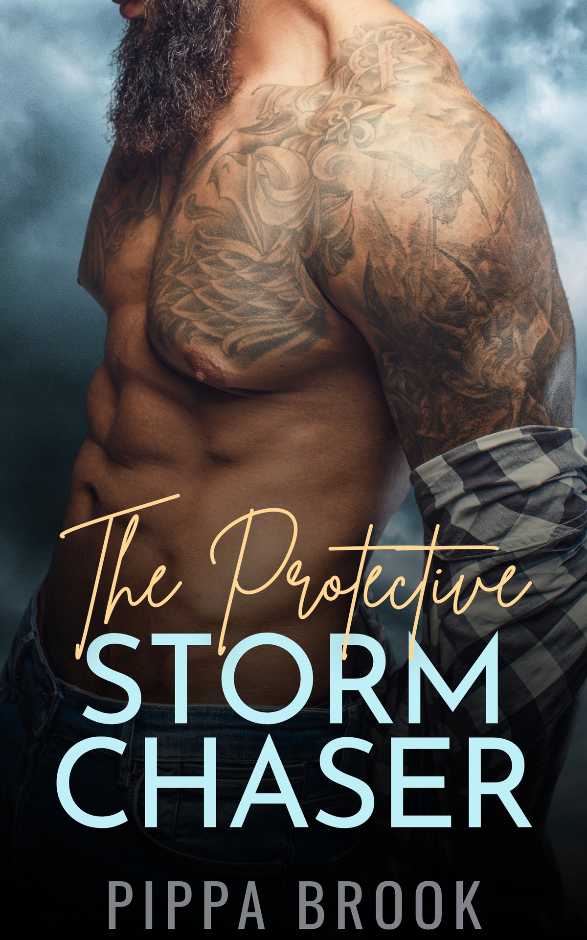 The Protective Storm Chaser Love In A Storm Book 4 Pippa Brook