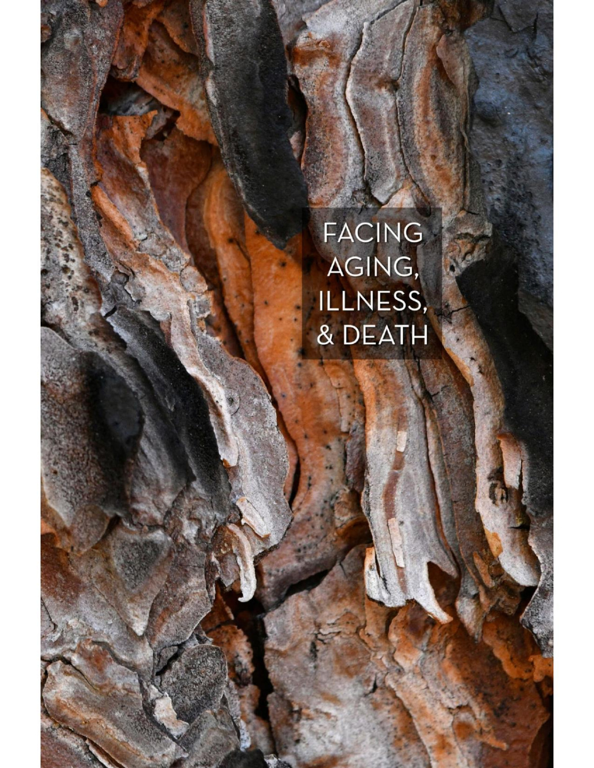 Facing Aging Illness Death The Central Teaching Of The Buddha ṭhānissaro Bhikkhu