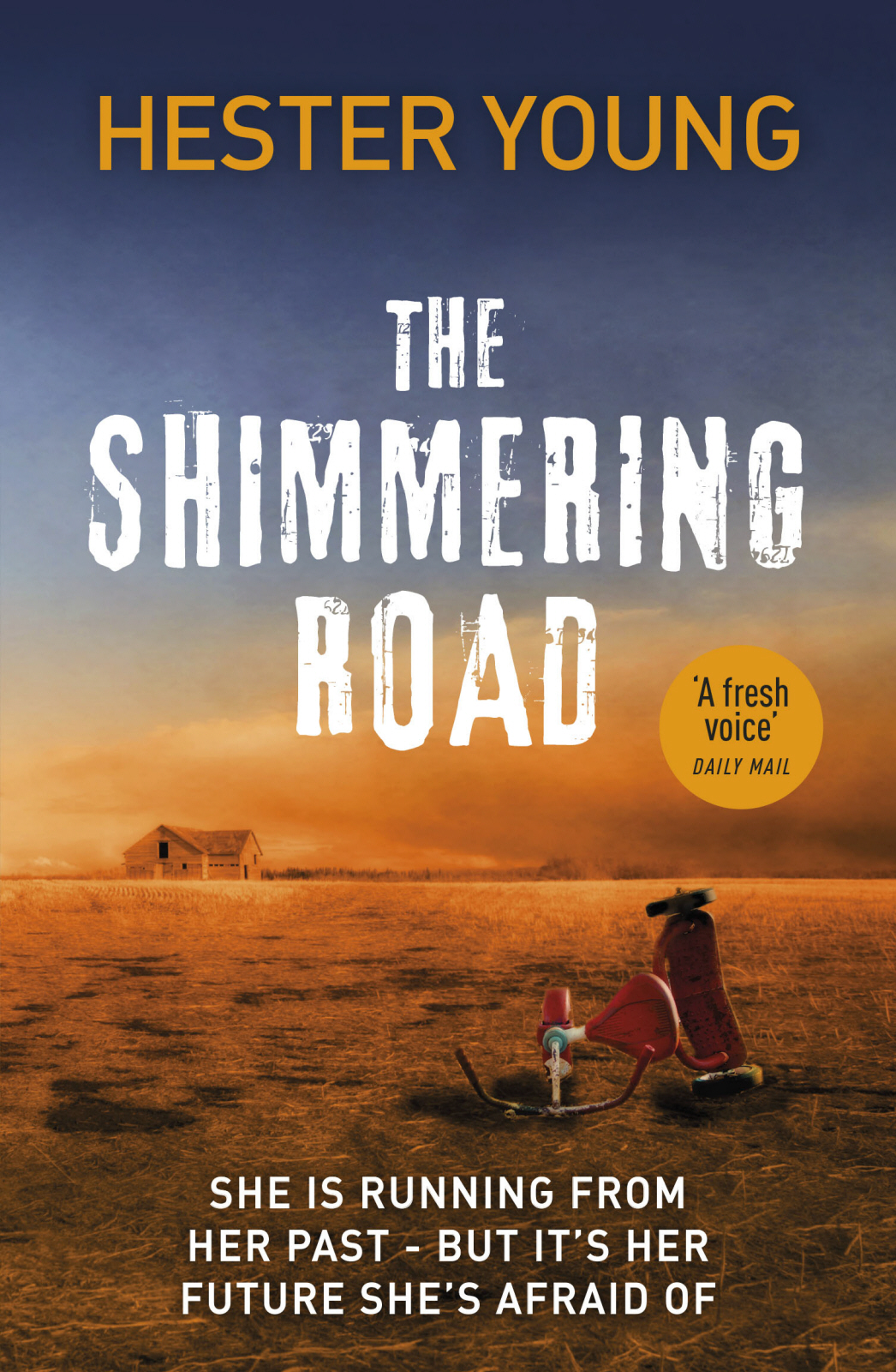 The Shimmering Road Hester Young