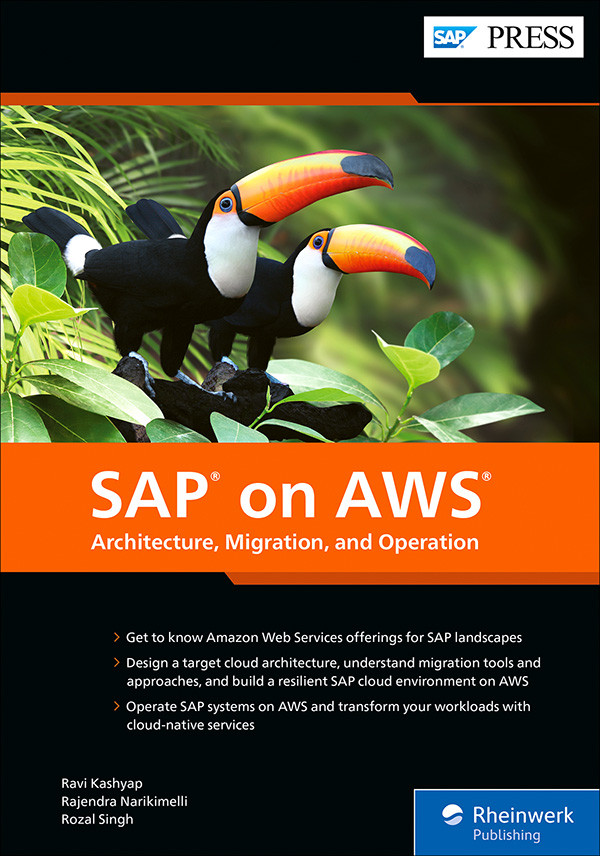 Sap On Aws Kashyap Ravinarikimelli Rajendrasingh Rozal
