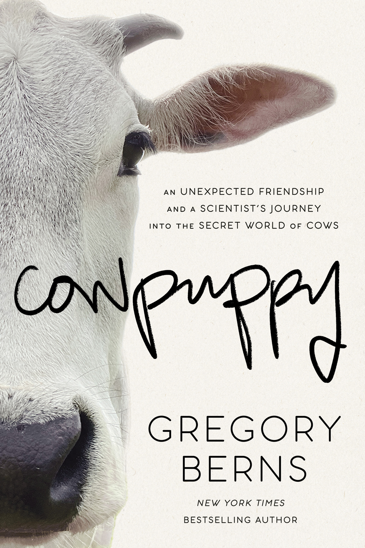 Cowpuppy An Unexpected Friendship And A Scientists Journey Into The Secret World Of Cows Gregory Berns