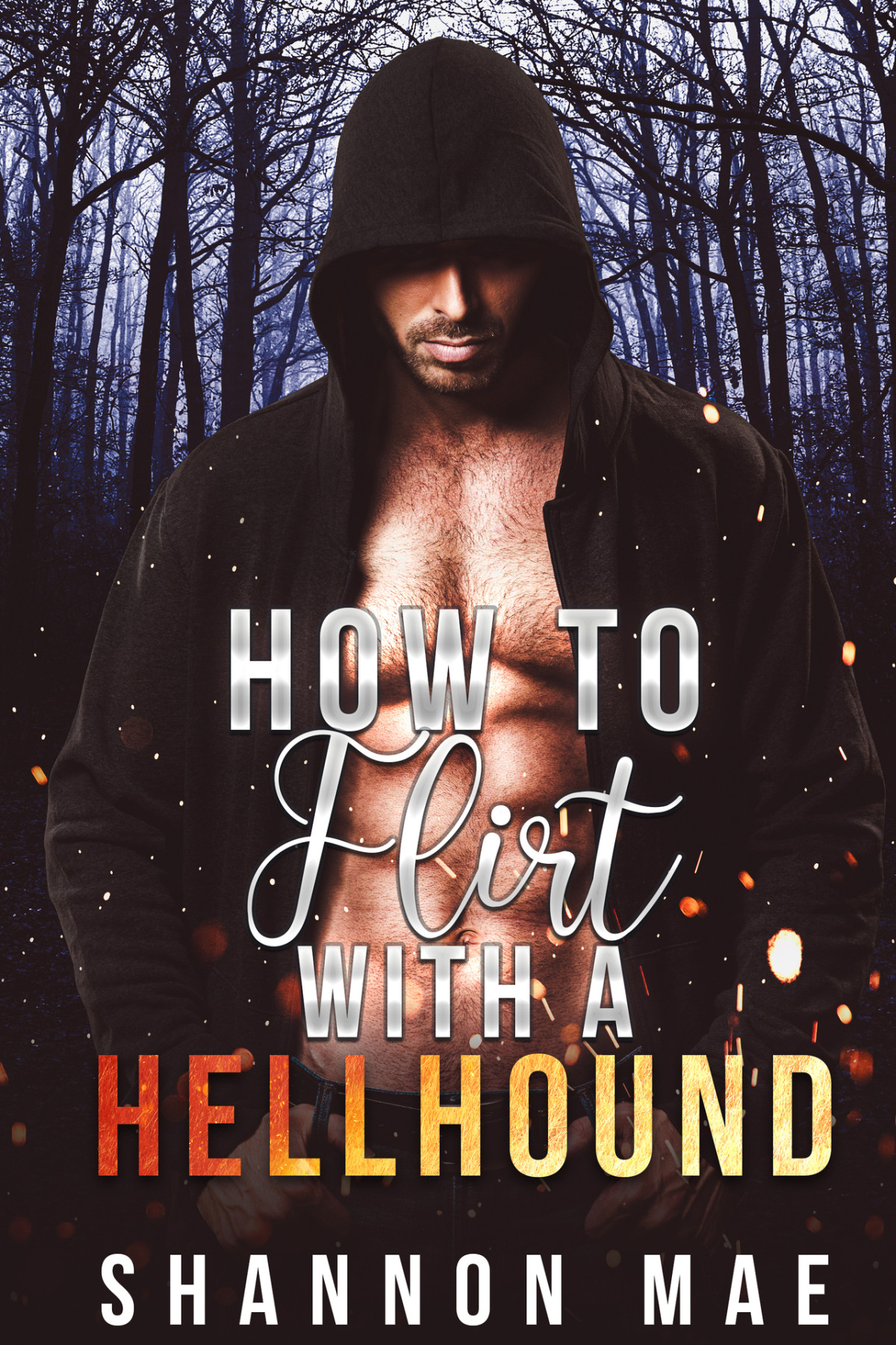 How To Flirt With A Hellhound Shannon Mae