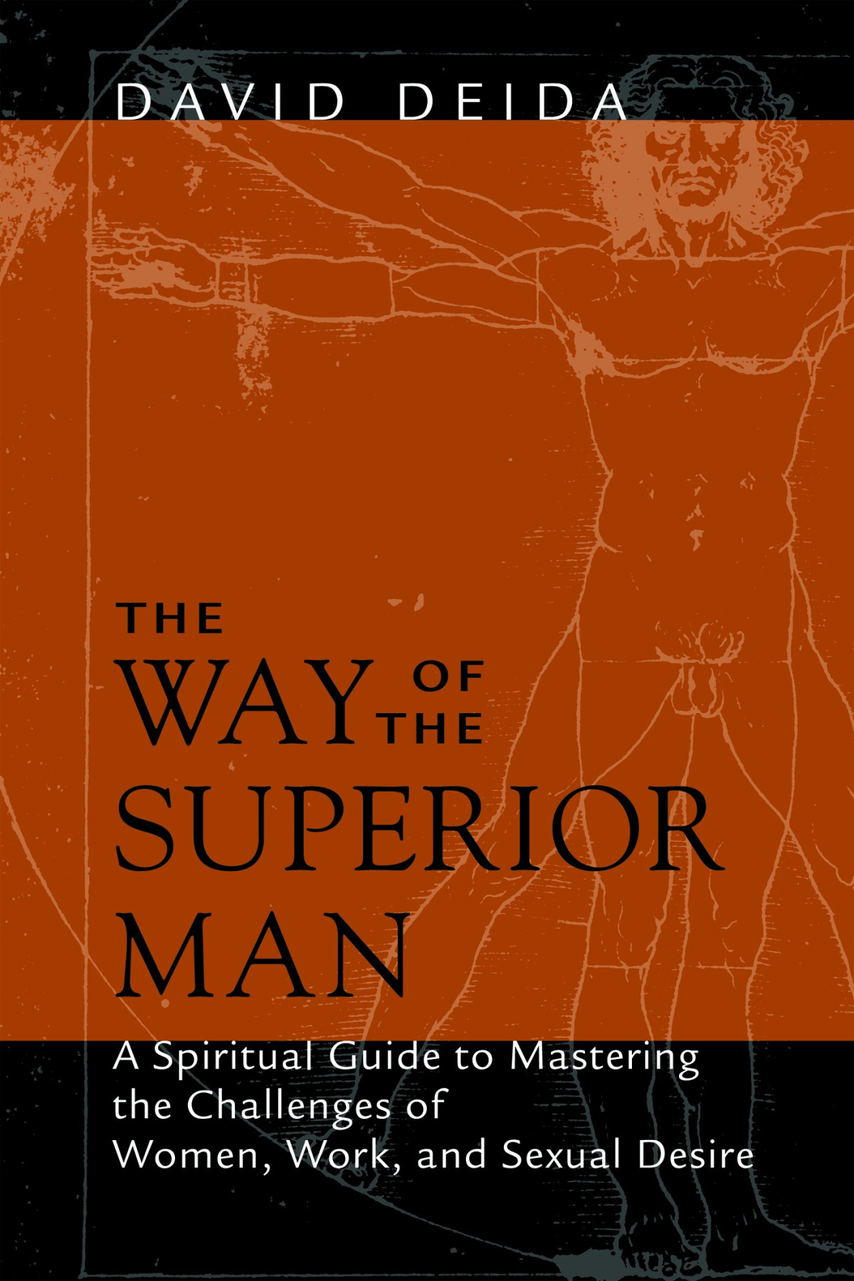 The Way Of The Superior Man David Deida