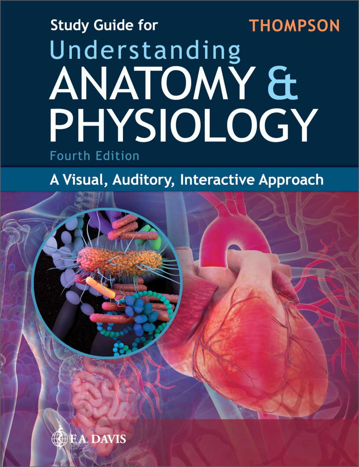 Study Guide For Understanding Anatomy Physiology A Visual Auditory Interactive Approach 4e 4th Edition Gale Sloan Thompson