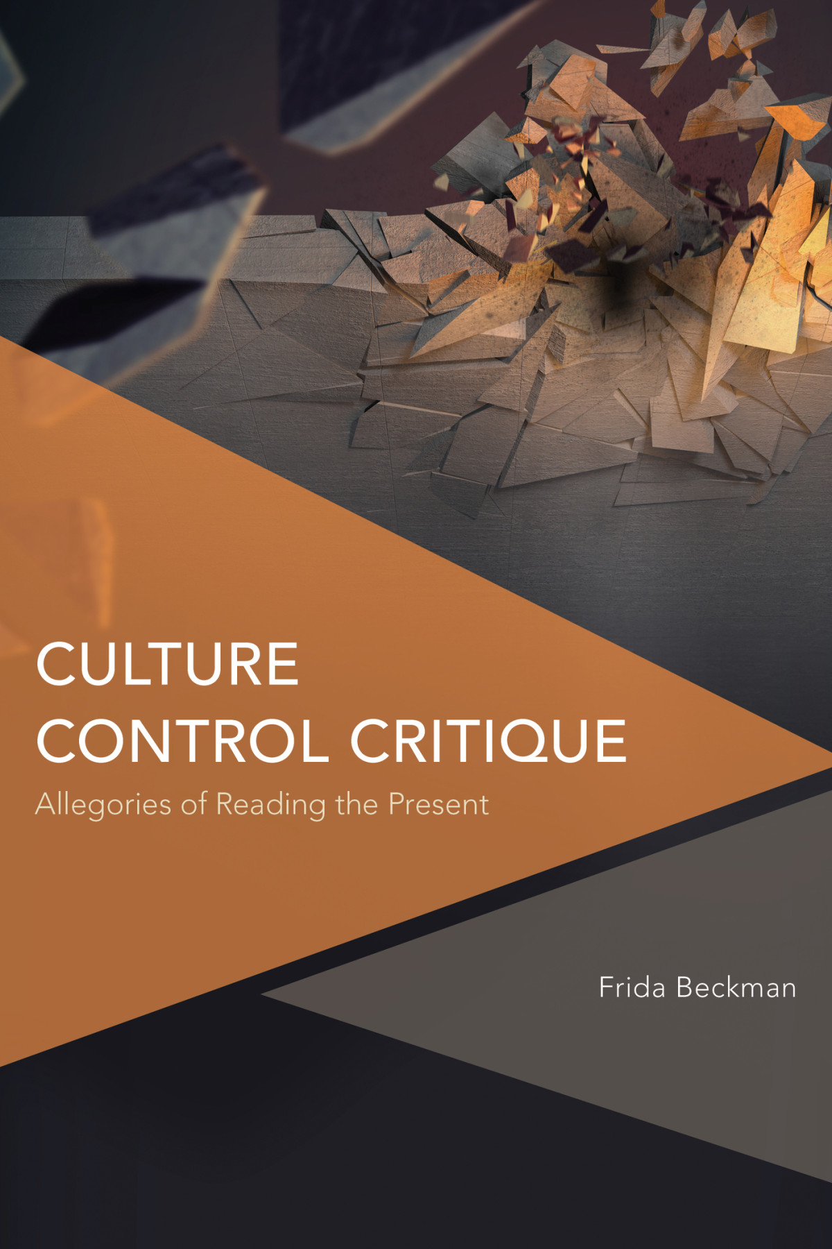 Culture Control Critique Allegories Of Reading The Present Frida Beckman