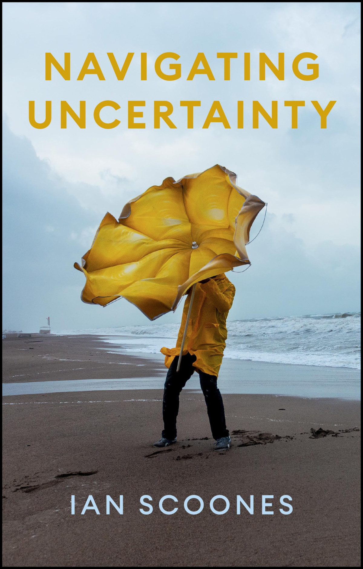 Navigating Uncertainty Radical Rethinking For A Turbulent World 1st Edition Ian Scoones