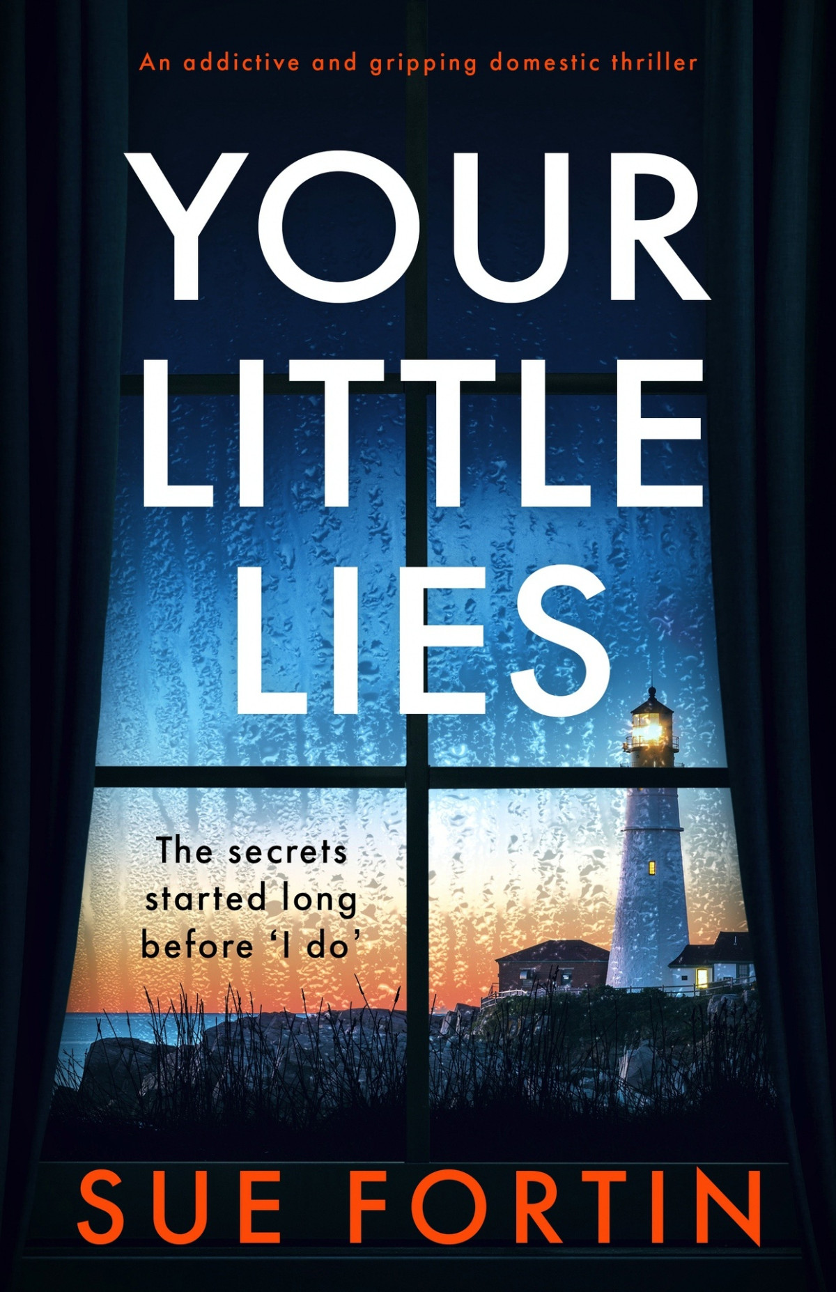 Your Little Lies Sue Fortin
