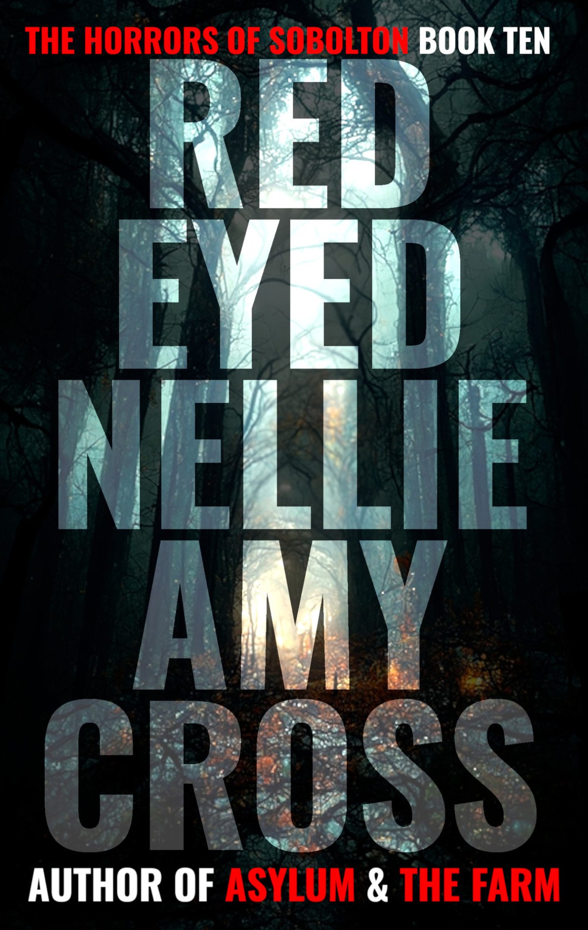 Redeyed Nellie The Horrors Of Sobolton Book 10 Amy Cross