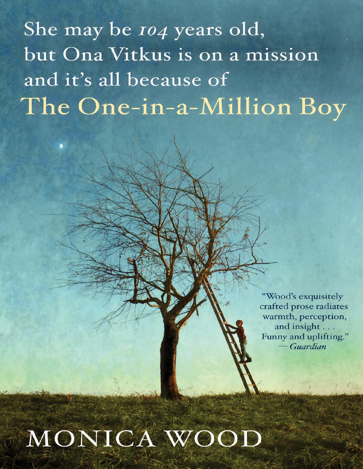 The Oneinamillion Boy Reprint Monica Wood