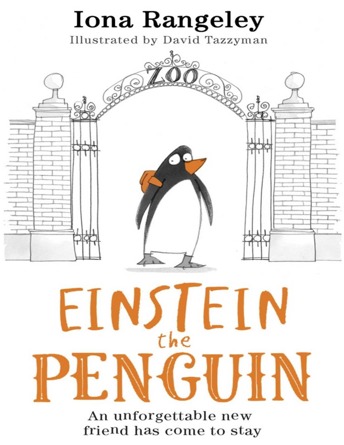 Einstein The Penguin Iona Rangeley